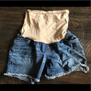 Maternity Shorts